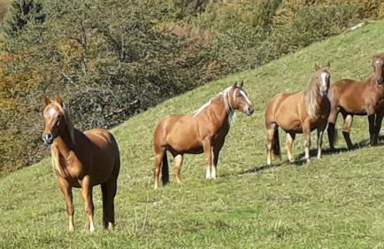 Eco-apartment Valletta - Photo 33
