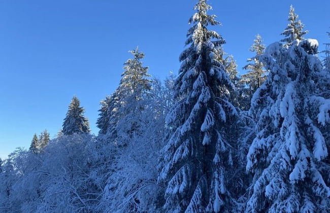 Stone House in Hamoir With Private Pool - Foto 51