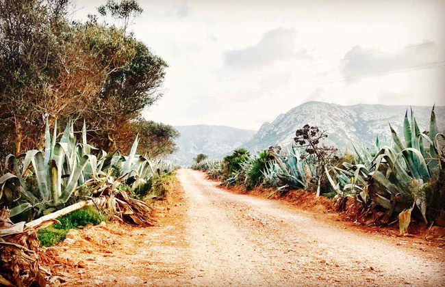 Excursion aux plages de Mónsul et Los Genoveses - Photo 1