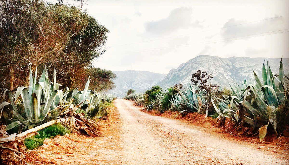 Disfrutando del recorrido