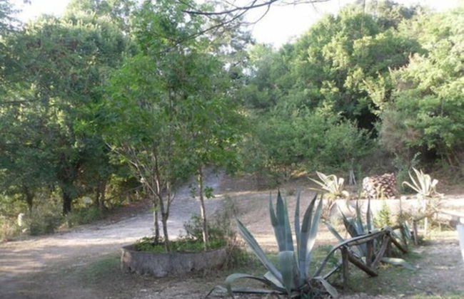 Le Dieci Querce - Foto 22