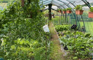 Il Nocciolo - Foto 14