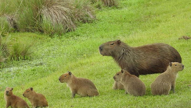 Tour in Montevideo - Foto 3