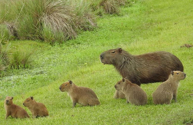Tour in Montevideo - Foto 3