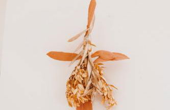 Mas Andalou Fabuleuse première ligne de mer, plage privative - Foto 11