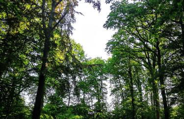 Gästehaus Maria Rast - Foto 69