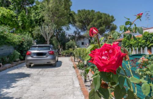 Villa a due passi dal mare "Cicogne Apartment" con BBQ e parcheggio gratuito a due passi dall'Aeroporto - Foto 52