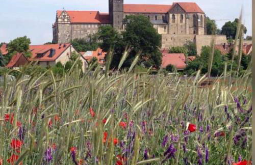 Ferienhaus Harzvorland - Foto 1
