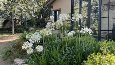 Casa Rural Finca De Musgo - Foto 5