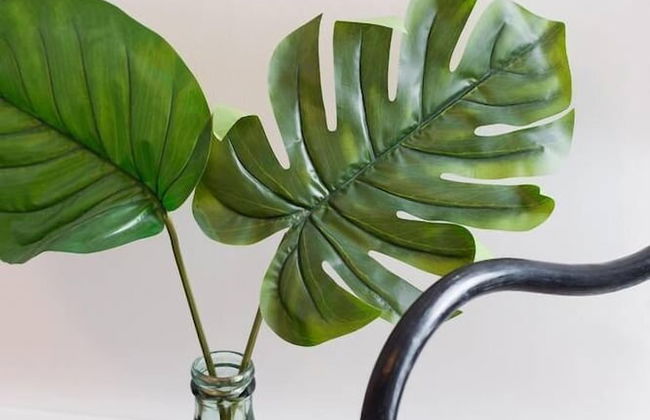 Spacious 2 Bedroom Condo in Little Italy - Foto 48