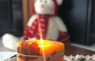 Hortênsiailedefrance - Foto 13