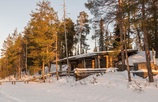 Metsä-luosto - Foto 45