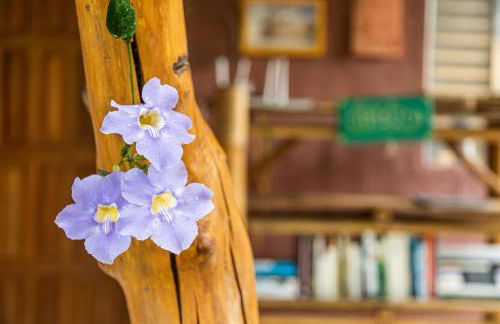 Cambuca Surf Skate - Foto 78