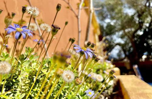 Villa ANTONIA - Foto 56