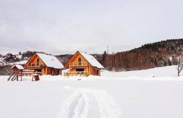 Domki w Bieszczadach - Foto 23