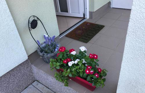 Apartman Igor - Photo 14