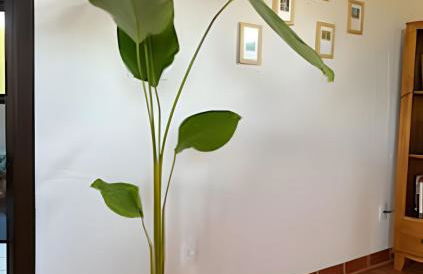 Casa VillaMar. - Foto 62