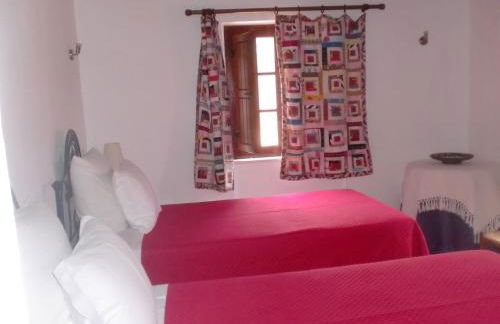 Horta da Quinta - Foto 49