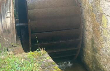 idyllisches Ferienhaus Reitlesmühl für 8 Personen in der Rhön - Foto 50