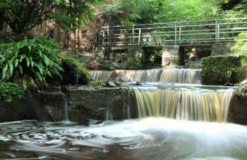 Wensleydale Halls - Photo 39