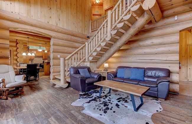 Big Bear Citq 234765 - Foto 3