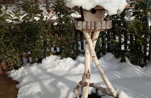 Gasthof Grüner Baum "Kongo" - Foto 21