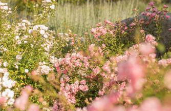 Les Villas Chamontines - La Villa des Chênes - Photo 60