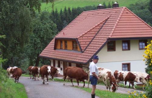 Pleasant Holiday Home With Balcony - Foto 19