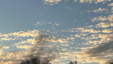 FEWO- Rafaelo - Foto 4