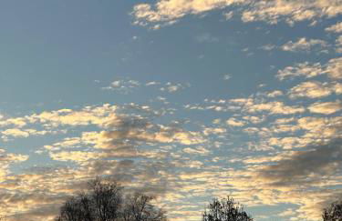 FEWO- Rafaelo - Foto 4