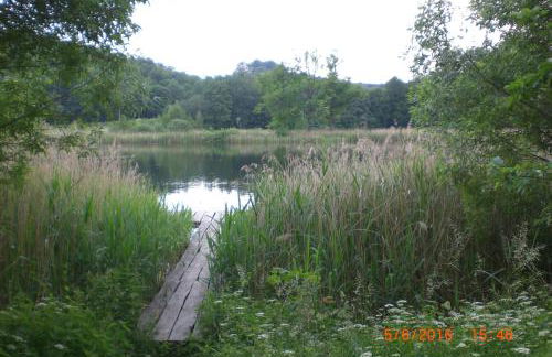 Ferienhaus am Geiersberg - Foto 40