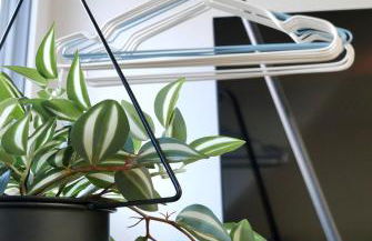 Ferienhaus Anni & Fritz - Foto 22