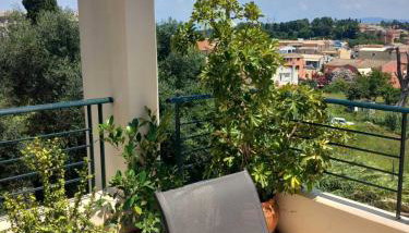 Fox's Sunshine - Foto 5