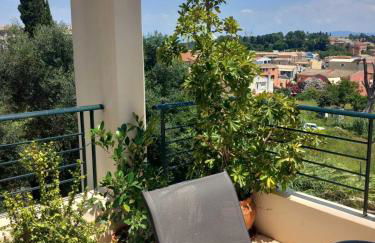 Fox's Sunshine - Foto 5