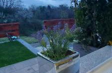 Apartmani Remete - Foto 30