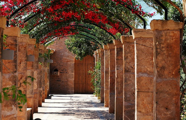 Casal Santa Eulàlia Hotel - Photo 67