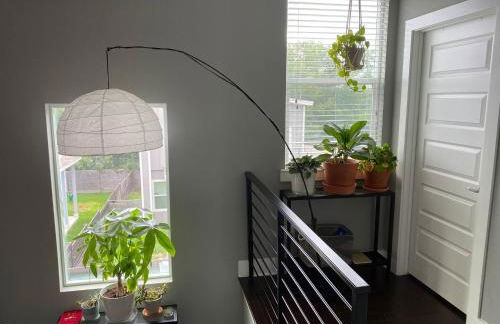 Modern Home In North-central Austin - Foto 22