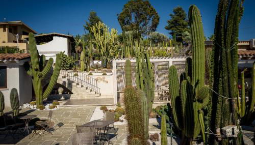 Relais Garden Cactus B&B - Foto 5, Garden