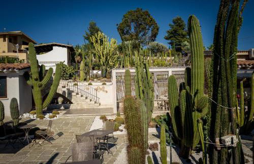 Garden Cactus - Foto 28