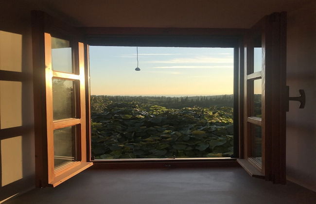 Country House Bakicevo - Foto 11