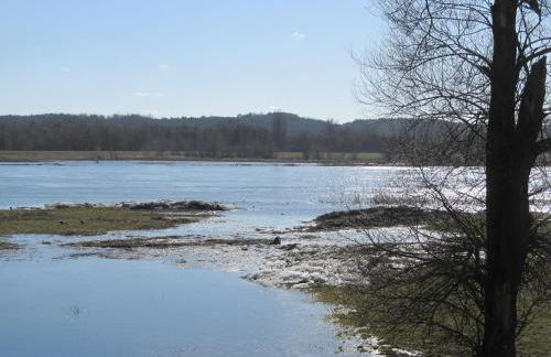 zum Wiesengrund im Oderbruch - Foto 19