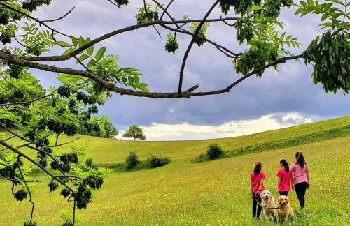 La Masia del Batlle - Photo 57