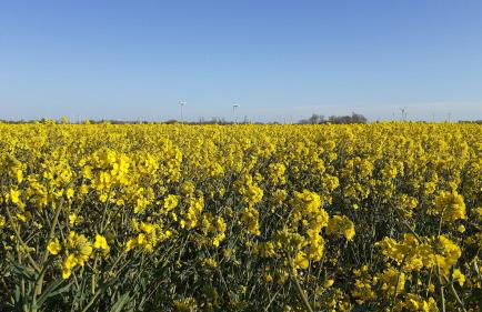 Top EG Rollstuhlwohnung 80qm zum Frühjahr- und Sommerpreis - Photo 26