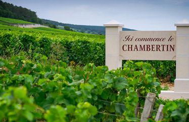 Coeur Chambertin - Foto 12