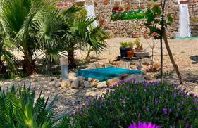 Trulli delle succulente - Foto 3