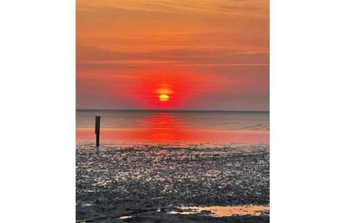 One-bedroom apartment - Photo 23