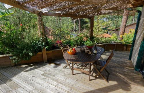 Villa sous les pins de Moliets - Foto 1