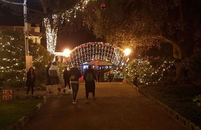 Appartement Lady Daniela - Foto 13