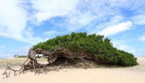 Casa da Vá! - Foto 2