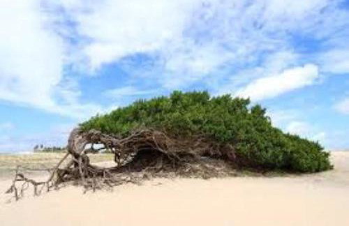 Casa da Vá! - Foto 2